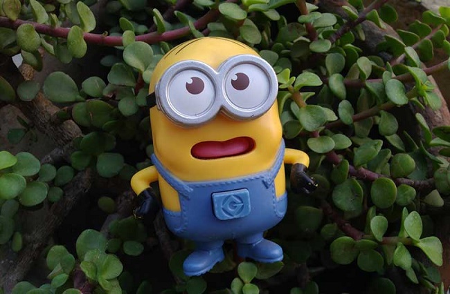  Примерна снимка