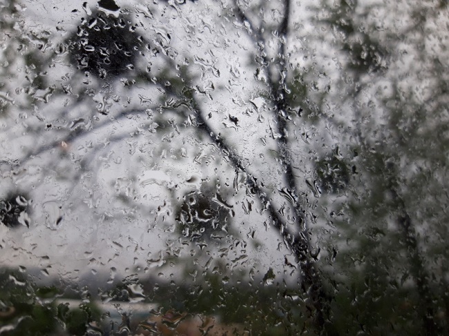  Примерна снимка