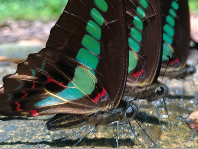  Примерна снимка