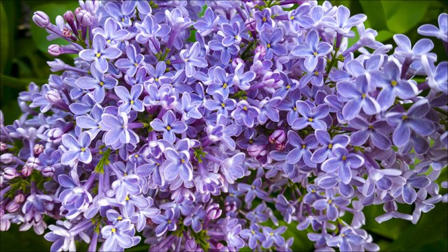  Примерна снимка