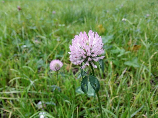  Снимка на главната камера