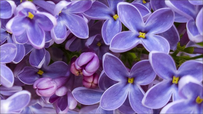  Примерна снимка