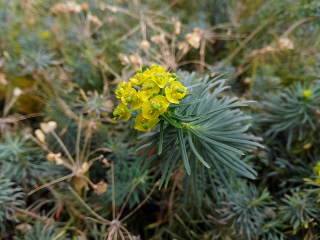  Снимка от главната камера