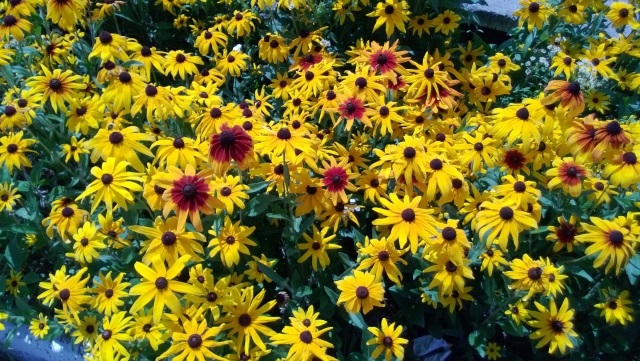  Примерна снимка