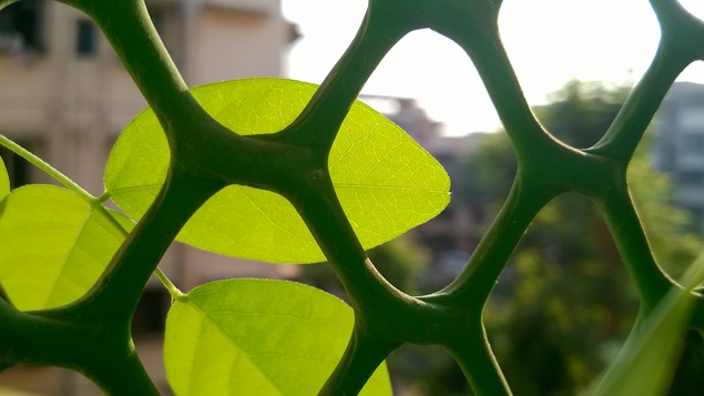  Примерна снимка