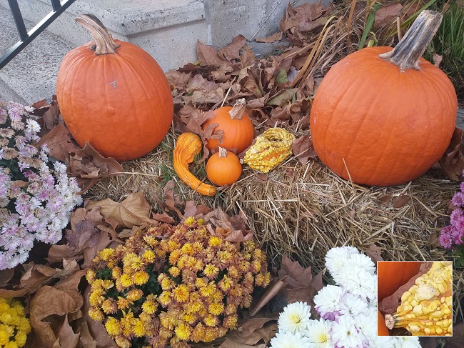  Примерна снимка 3