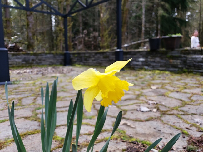  Фото самсун